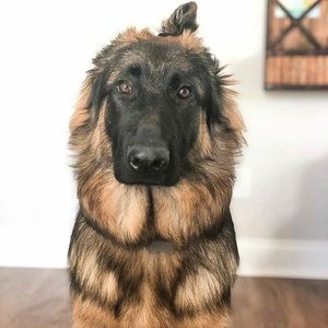 Meet your Posher, Jersey